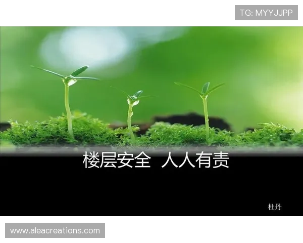 新娱乐在线官网下载安全可靠，确保每一次下载都放心无忧