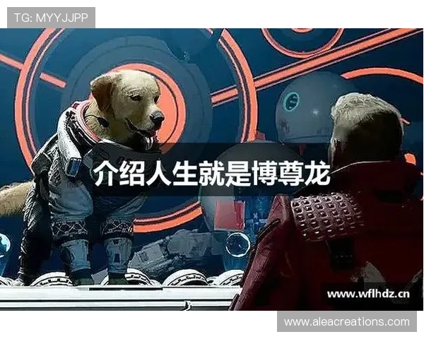 尊龙人生就是博登录国际平台帮助用户实现财务目标与人生梦想的理想选择
